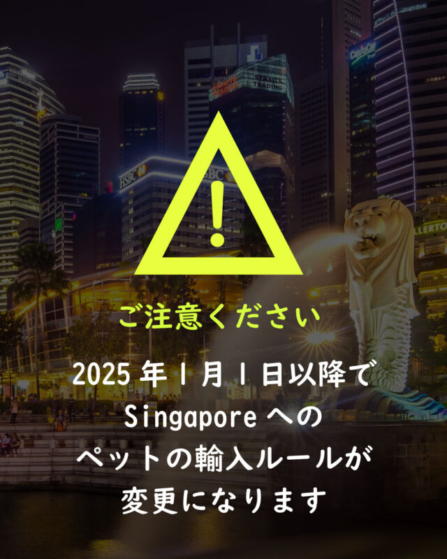 2025年1月1日以降でSingaporeへのペットの輸入ルールが変更となります。