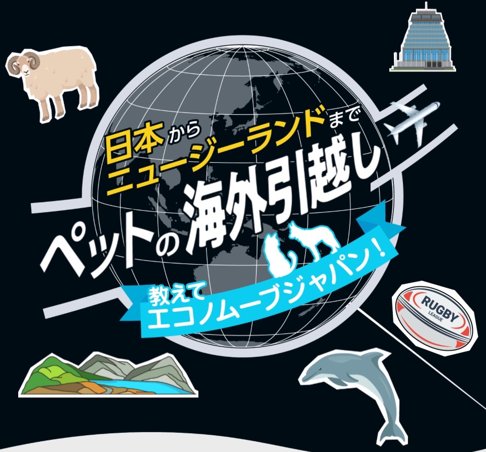 日本からニュージーランド