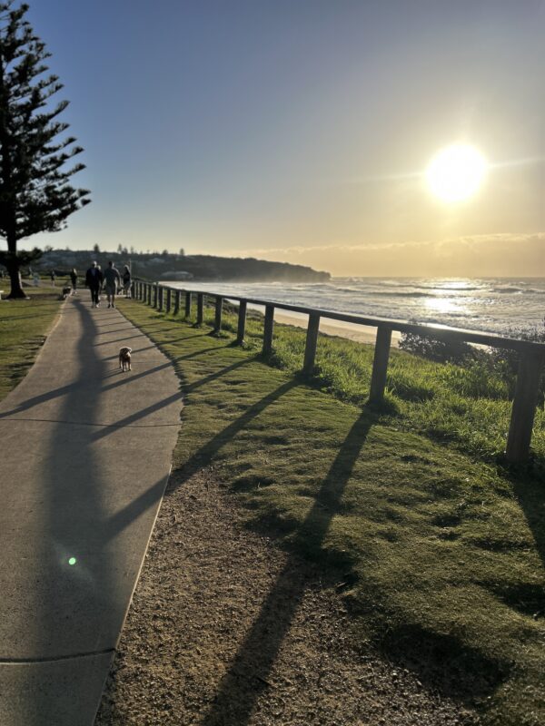 JP⇒AU、AU⇒JPに愛犬を輸送されたH.Mさまよりアンケートにご協力をいただきました！