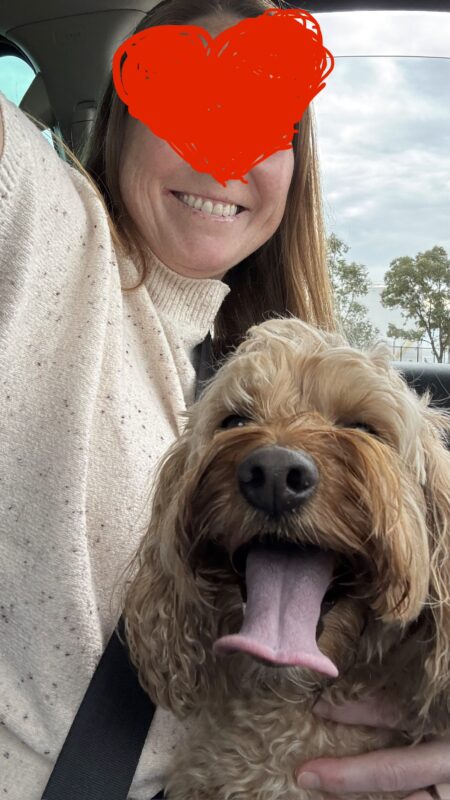 Feedback from Ms.J.H. on Moving Her Dog from Japan to Australia