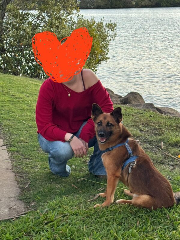 Post-Arrival Feedback from Ms.B.H., Who Relocated Their Dog from Japan to Australia